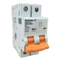 2480240000 WEIDMULLER MCB 1077 2P C 1.0A  ACDC