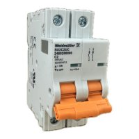 2480280000 WEIDMULLER MCB 1077 2P C 2.0A  ACDC