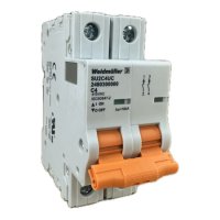 2480300000 WEIDMULLER MCB 1077 2P C 4.0A  ACDC