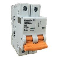2480440000 WEIDMULLER MCB 1077 2P C 40.0A  ACDC