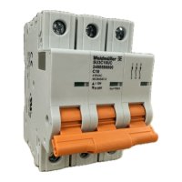 2480580000 WEIDMULLER MCB 1077 3P C 10.0A  ACDC